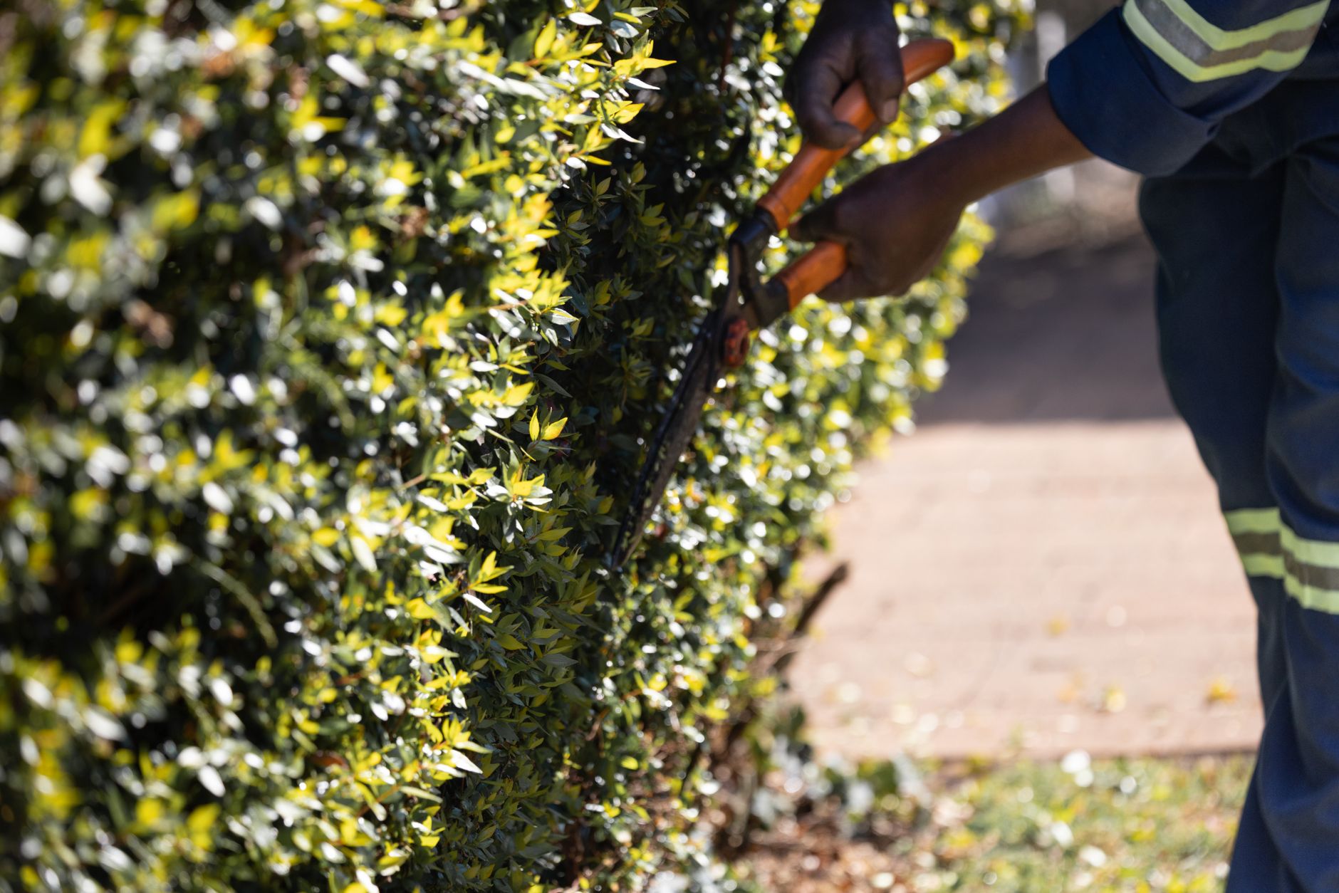 Lawn care & landscaping